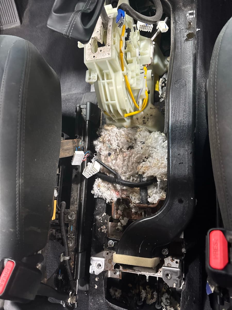 Rodent nesting material and biohazard contamination under vehicle seat requiring cleanup